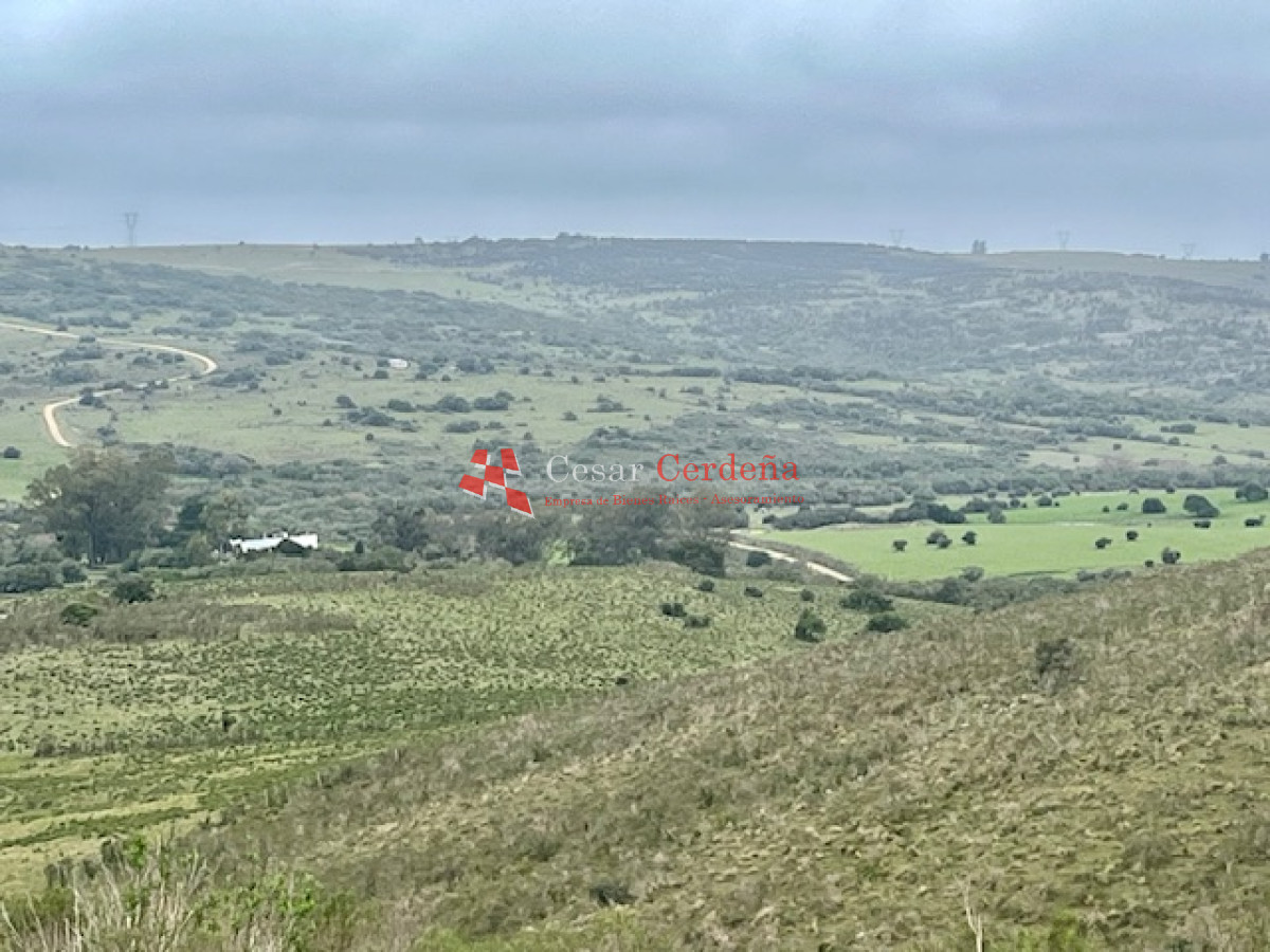 Campo Ref.1900 - VENTA - Campito de 86 hectáreas en las Sierras