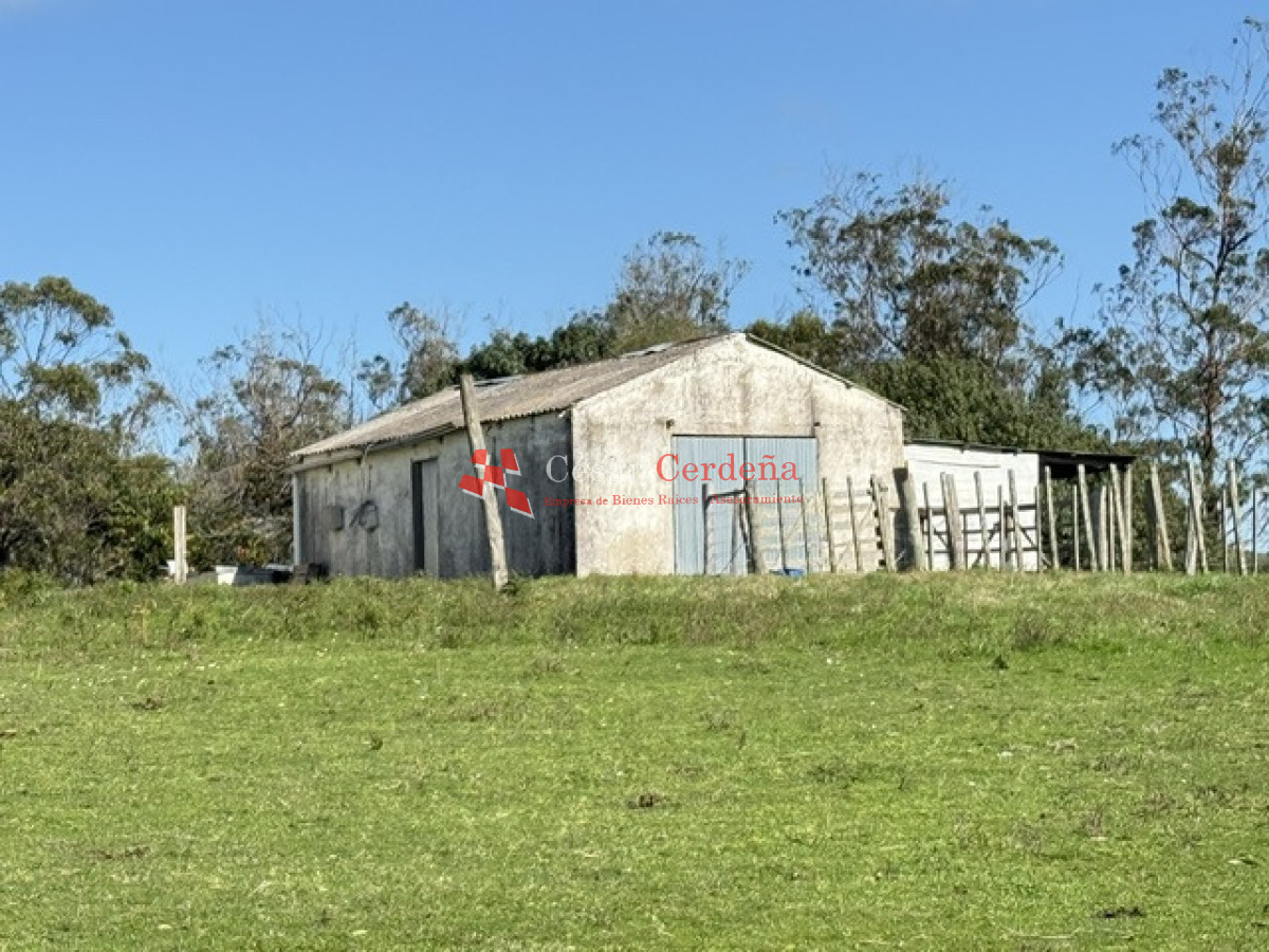 Campo Ref.1936 - VENTA - Campo 240 hectáreas en 19 de Abril - Rocha