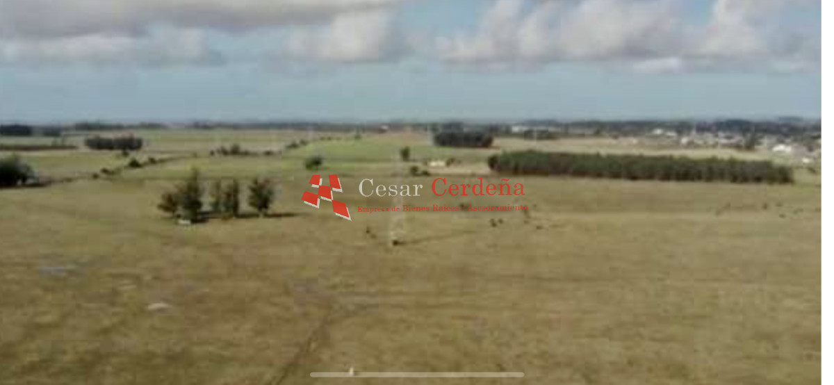 Campo Ref.1895 - VENTA - 73 has en Rocha
