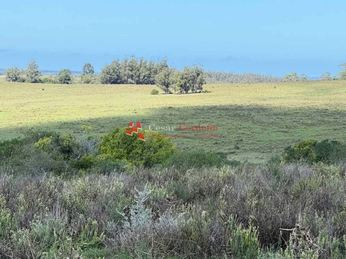Campo Ref.1947 - VENTA - Campo 316 hectareas en Garzon, Rocha