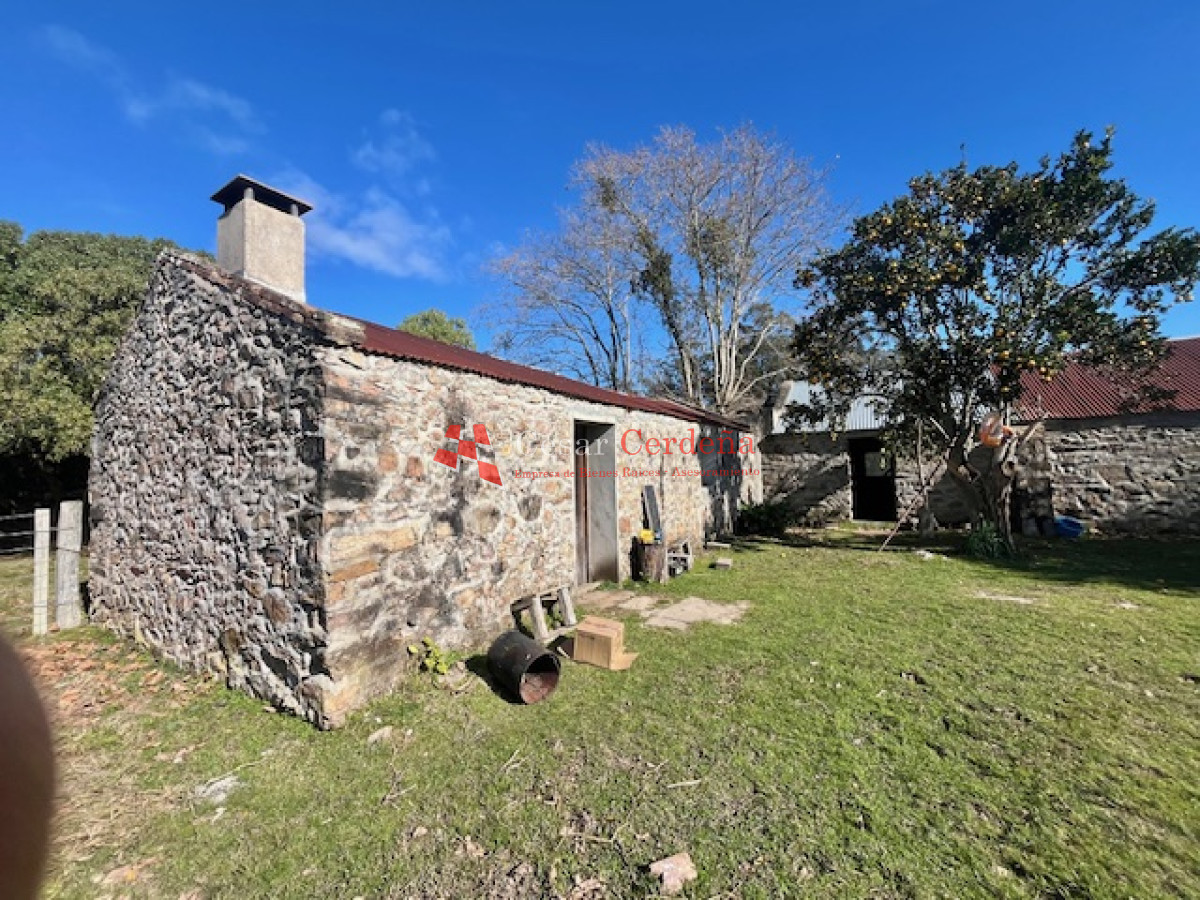 Campo Ref.1887 - VENTA - Campo 79 hectareas ruta 109