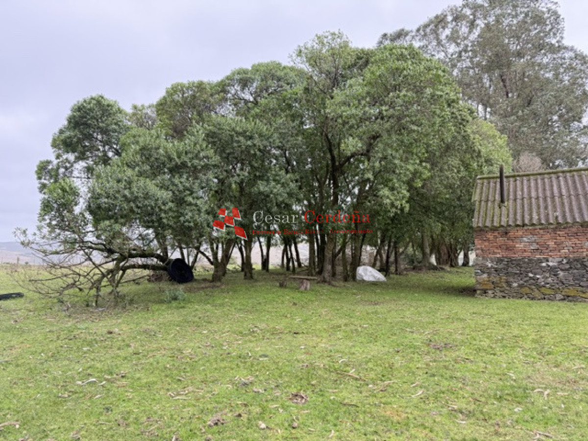 Campo Ref.1964 - VENTA - Campito 59 hectáreas - Castillos, Rocha
