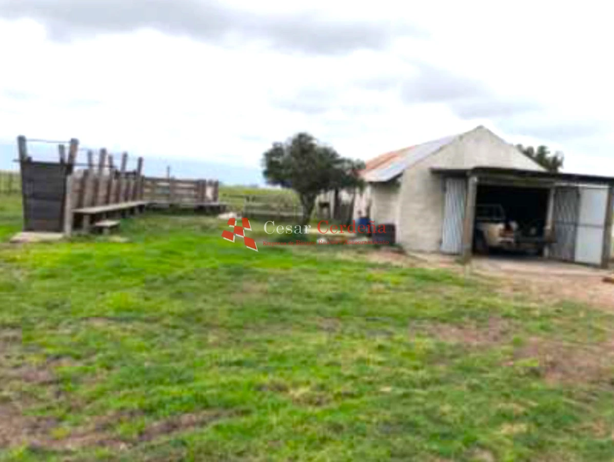 Campo Ref.1909 - VENTA -Campo en Rocha 690 hectáreas 