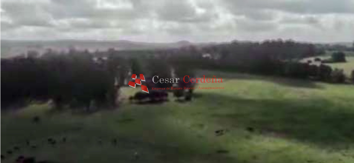Campo Ref.1895 - VENTA - 73 has en Rocha