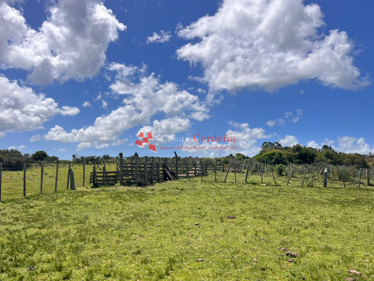 Campo Ref.1922 - VENTA - 124 HAS CASTILLOS