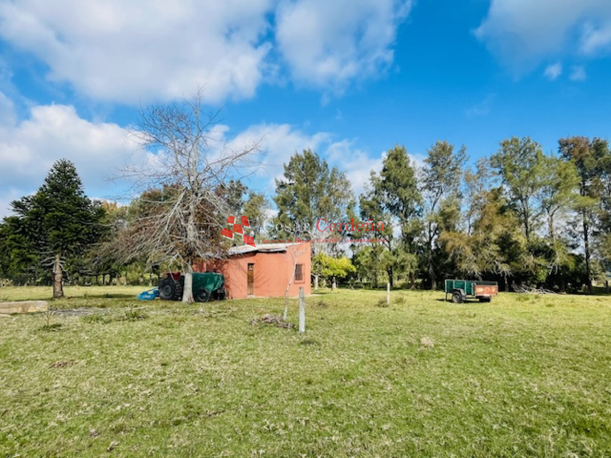Campo Ref.1937 - VENTA - Campo de 83 hectáreas en Maldonado