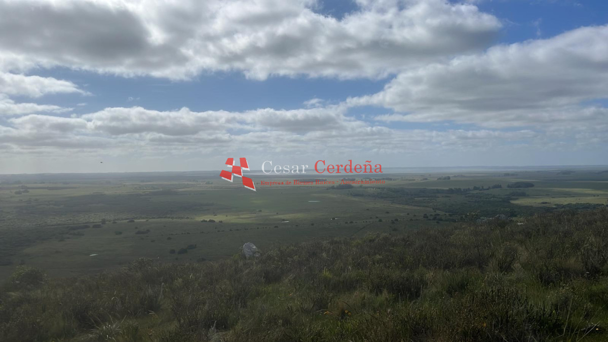 Campo Ref.1956 - VENTA - Campo 295 hectáreas en 19 de Abril - Rocha