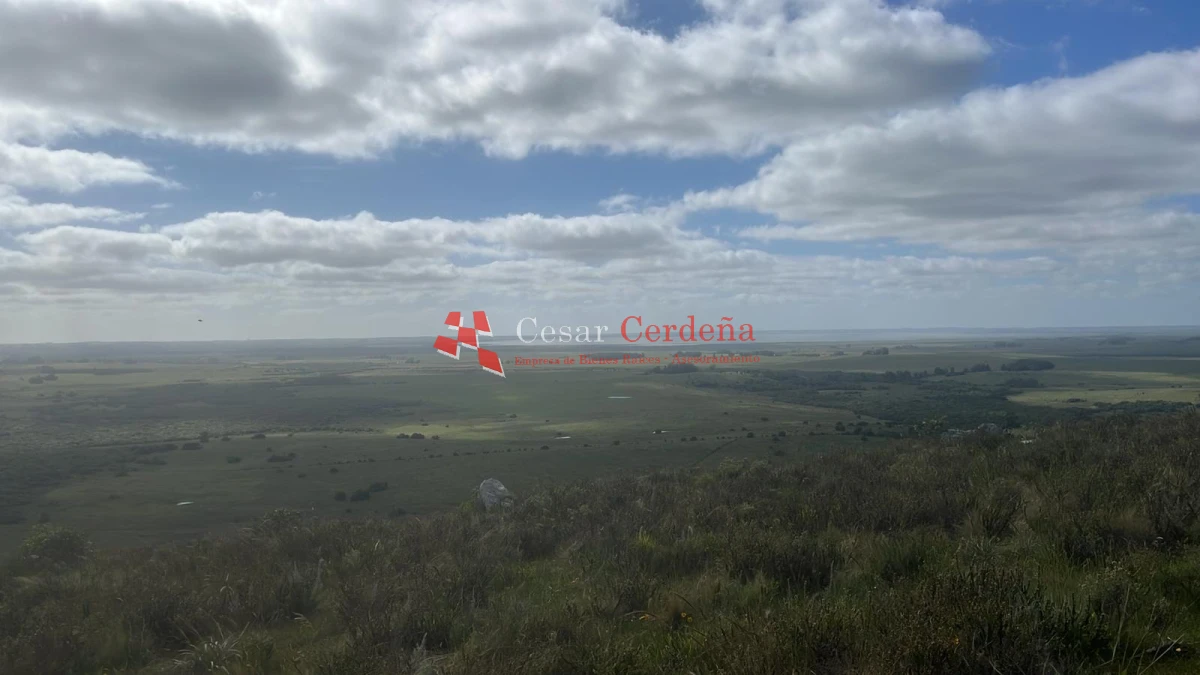 Campo Ref.1956 - VENTA - Campo 295 hectáreas en 19 de Abril - Rocha