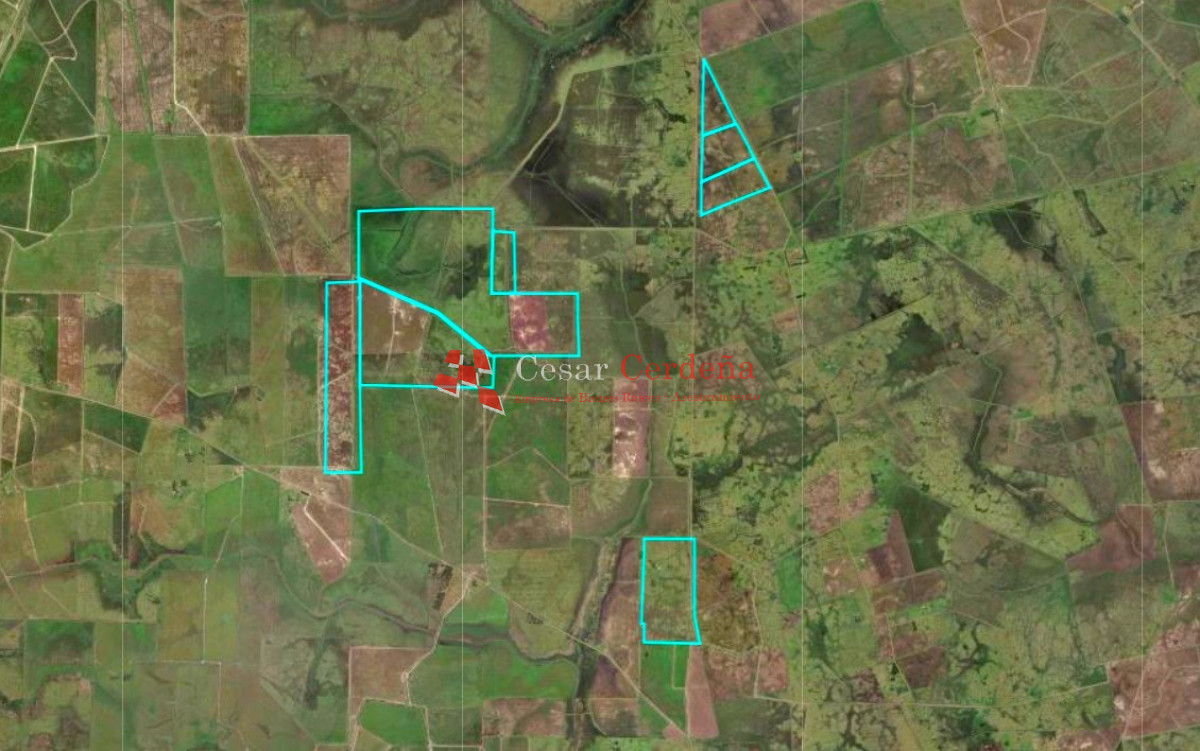 Campo Ref.1909 - VENTA -Campo en Rocha 690 hectáreas 