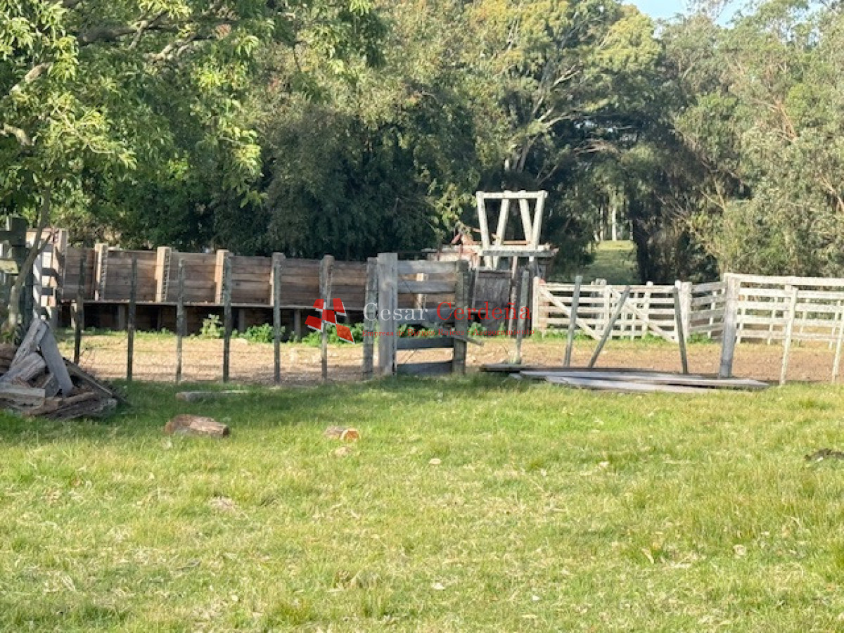 Campo Ref.1998 - VENTA - Campo 358 hectáreas en Garzón, Rocha