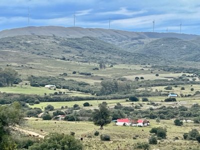 VENTA - Campito de 86 hectáreas en las Sierras
