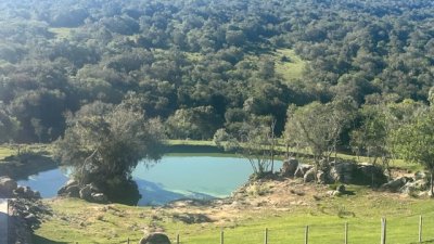 VENTA - Campo de 238 hectáreas en zona del Cerro Catedral