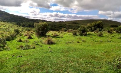 VENTA - Campo 78 hectareas en Garzon