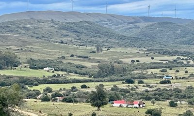 VENTA - Campito de 86 hectáreas en las Sierras