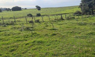 VENTA -Campo en Rocha 422 hectáreas