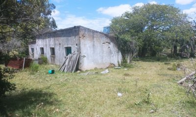 VENTA - Campo 218 hectareas, agricola ganadero