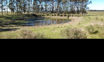VENTA - Campo de 83 hectáreas en Maldonado