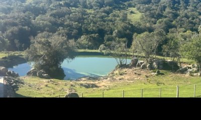 VENTA - Campo de 238 hectáreas en zona del Cerro Catedral