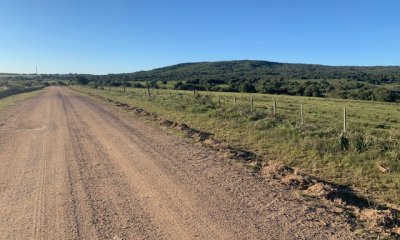 VENTA - Campo 419 has ganaderas Rocha