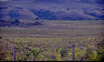 VENTA - Campo 3384 hectáreas - Tacuarembo