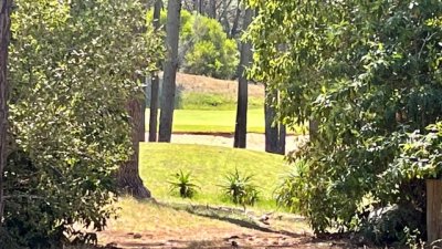 venta - 36 hectáreas sobre ruta 12 - solanas - punta del este - ccb1743t