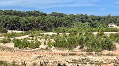 venta - 36 hectáreas sobre ruta 12 - solanas - punta del este - ccb1743t