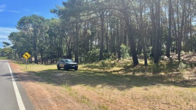 venta - 36 hectáreas sobre ruta 12 - solanas - punta del este - ccb1743t
