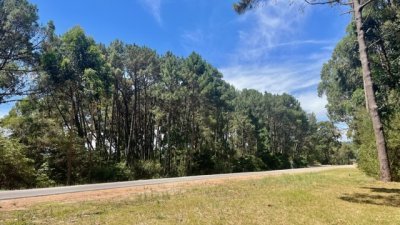 venta - 36 hectáreas sobre ruta 12 - solanas - punta del este - ccb1743t