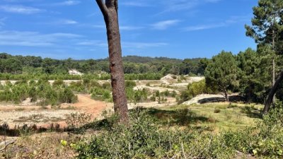 venta - 36 hectáreas sobre ruta 12 - solanas - punta del este - ccb1743t