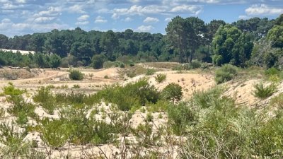 venta - 36 hectáreas sobre ruta 12 - solanas - punta del este - ccb1743t
