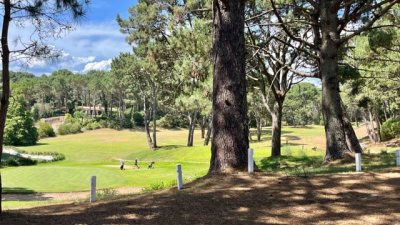 venta - 36 hectáreas sobre ruta 12 - solanas - punta del este - ccb1743t