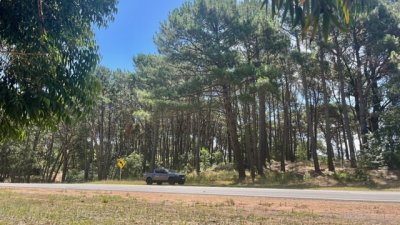 venta - 36 hectáreas sobre ruta 12 - solanas - punta del este - ccb1743t