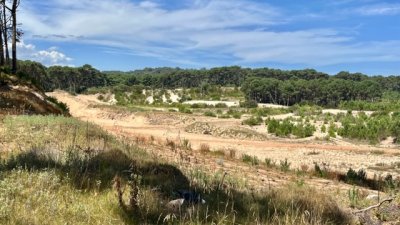 venta - 36 hectáreas sobre ruta 12 - solanas - punta del este - ccb1743t
