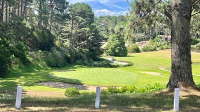 venta - 36 hectáreas sobre ruta 12 - solanas - punta del este - ccb1743t