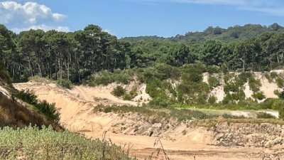 venta - 36 hectáreas sobre ruta 12 - solanas - punta del este - ccb1743t