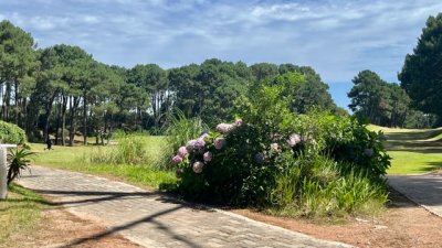 venta - 36 hectáreas sobre ruta 12 - solanas - punta del este - ccb1743t