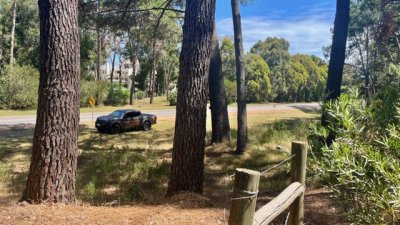 venta - 36 hectáreas sobre ruta 12 - solanas - punta del este - ccb1743t