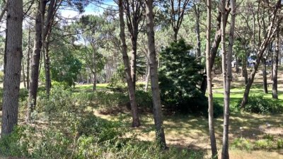 venta - 36 hectáreas sobre ruta 12 - solanas - punta del este - ccb1743t