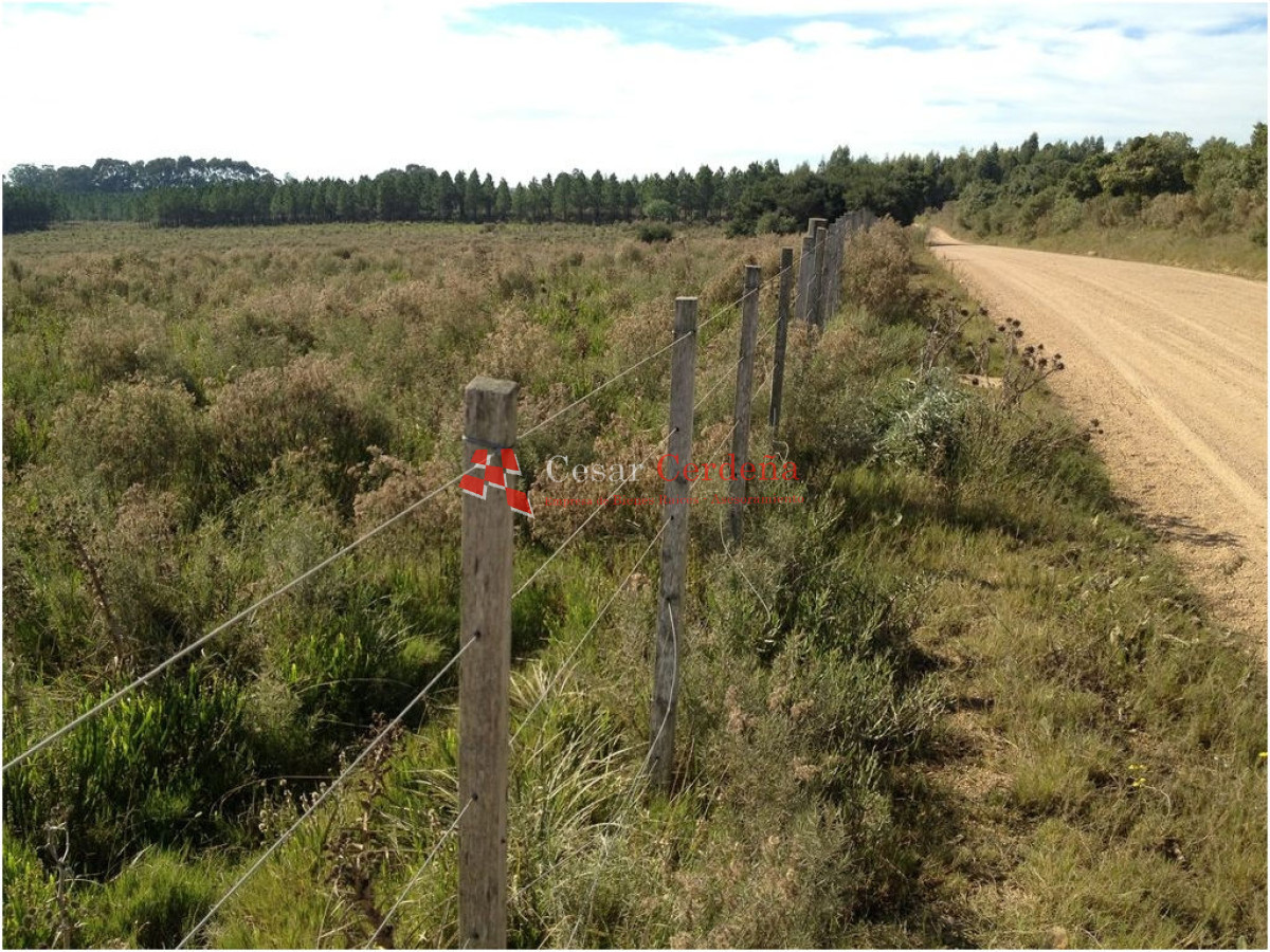Terreno ID.1207 - VENTA - TERRENO PARA FRACCIONAMIENTO