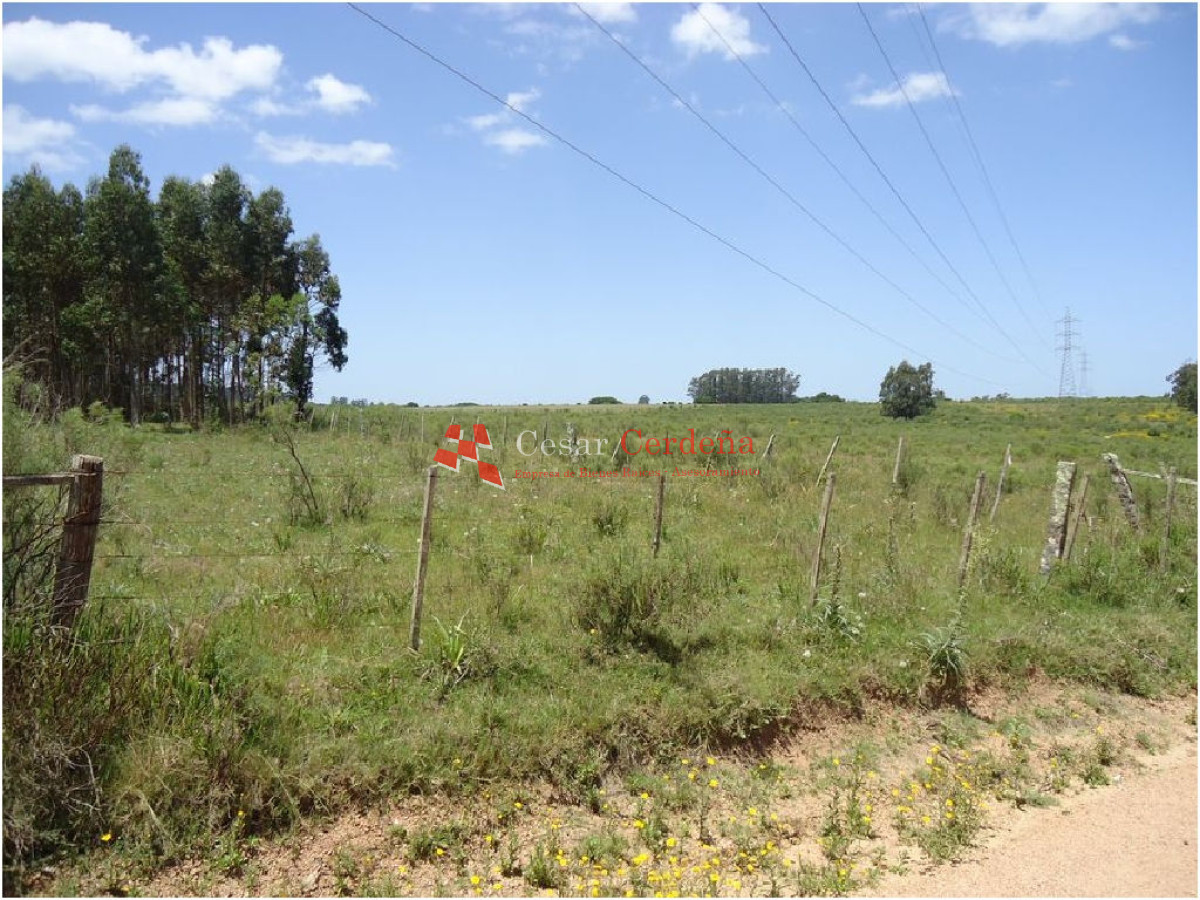 Terreno ID.1207 - VENTA - TERRENO PARA FRACCIONAMIENTO