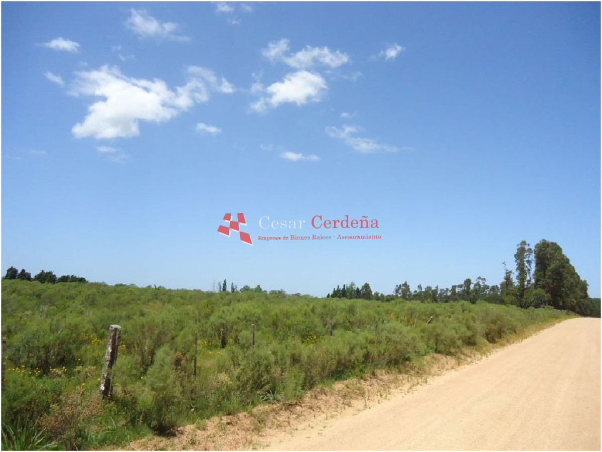Terreno ID.1207 - VENTA - TERRENO PARA FRACCIONAMIENTO