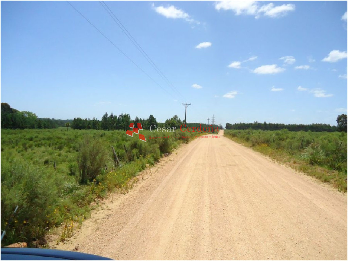 Terreno ID.1207 - VENTA - TERRENO PARA FRACCIONAMIENTO