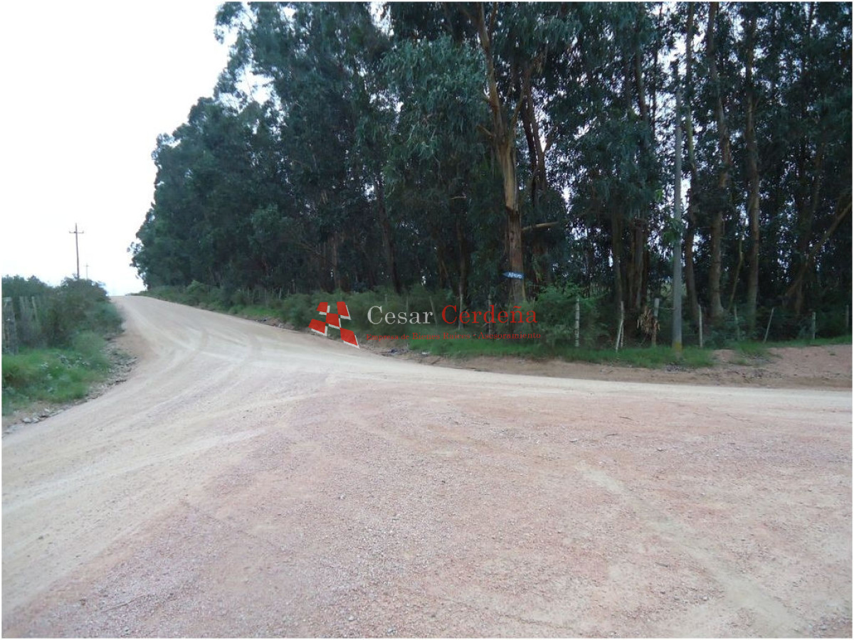 Terreno ID.1207 - VENTA - TERRENO PARA FRACCIONAMIENTO