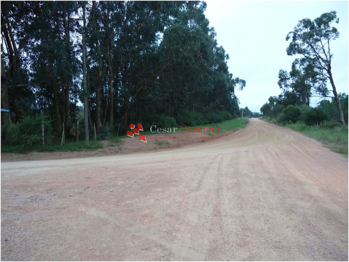 Terreno ID.1207 - VENTA - TERRENO PARA FRACCIONAMIENTO