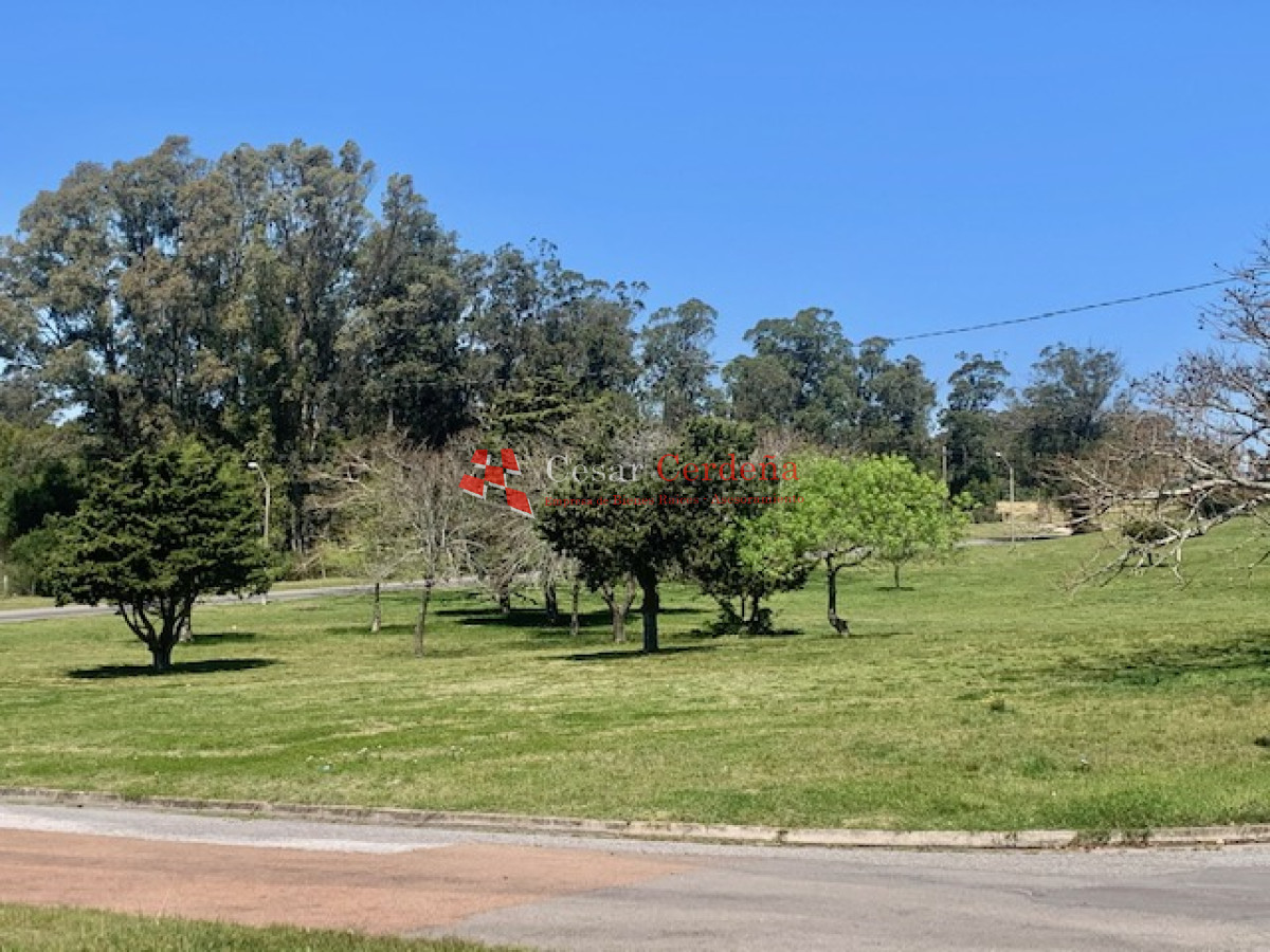 Terreno ID.1166 - VENTA - Tierra en venta para proyecto inmobiliario