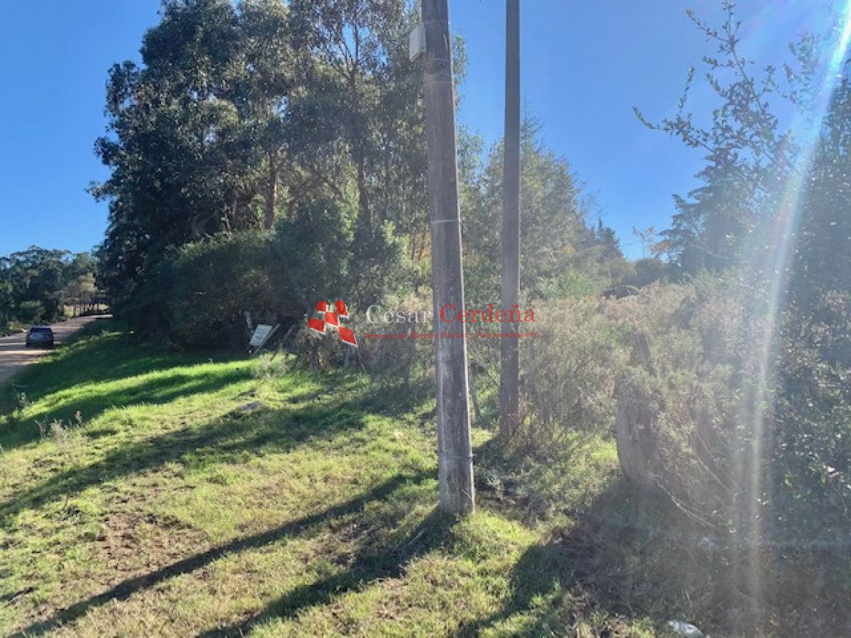 Terreno ID.1207 - VENTA - TERRENO PARA FRACCIONAMIENTO