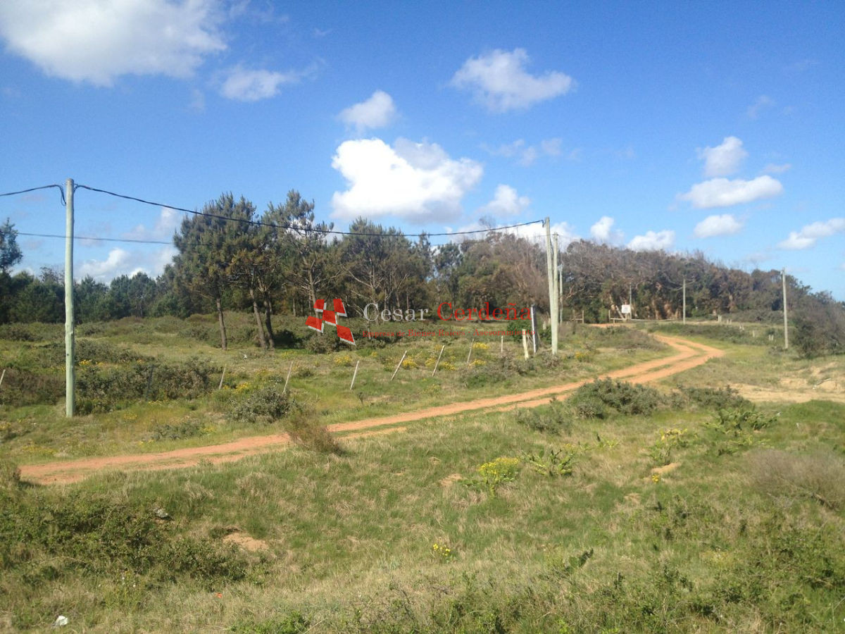 Terreno ID.1692 - VENTA - Terreno ubicado en 1era linea al mar