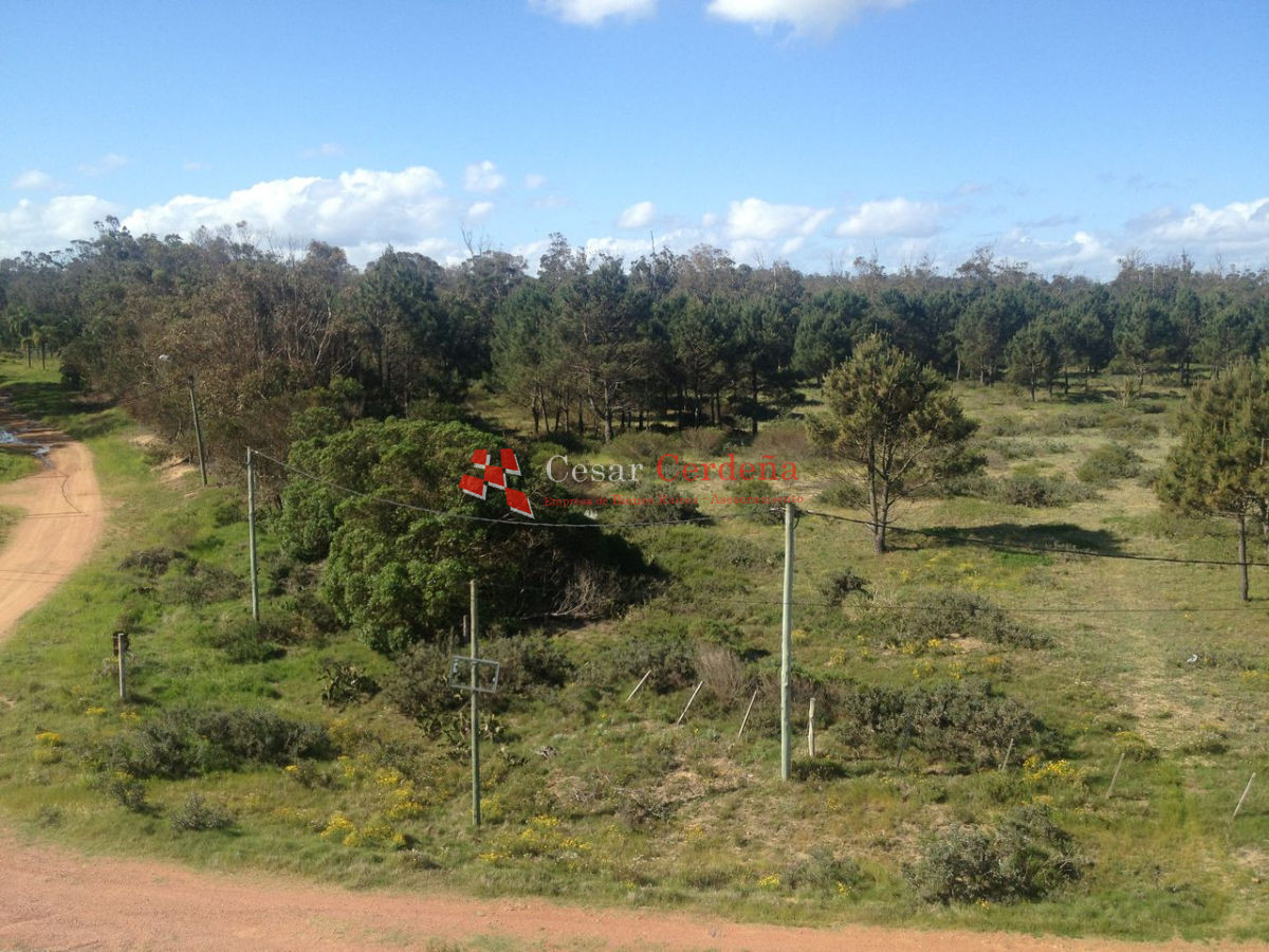 Terreno ID.1692 - VENTA - Terreno ubicado en 1era linea al mar