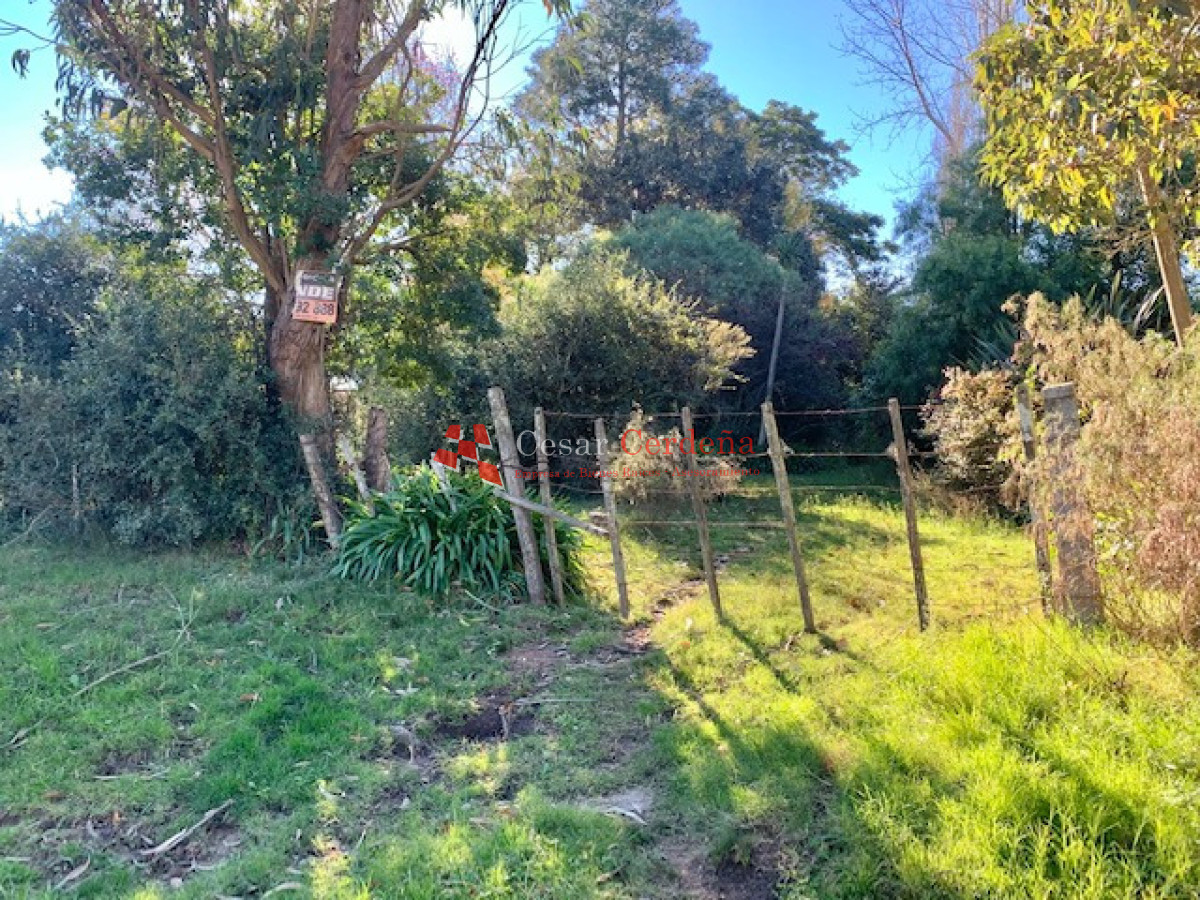 Terreno ID.1207 - VENTA - TERRENO PARA FRACCIONAMIENTO