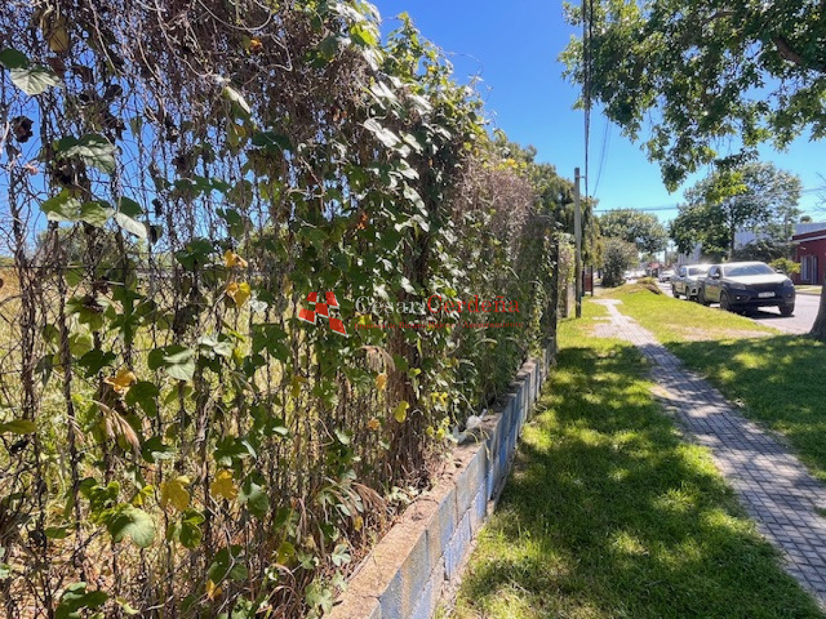 Terreno ID.1957 - VENTA - Terreno centrico en Maldonado para edificio